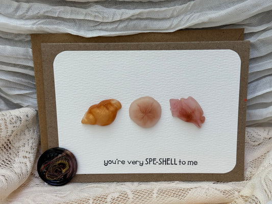 "You’re very SPE-SHELL to me." - Card